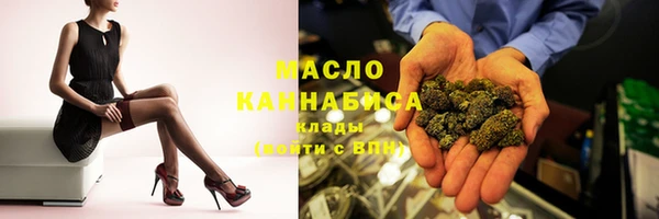 амф Верхний Тагил