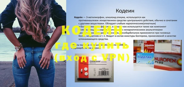 амф Верхний Тагил