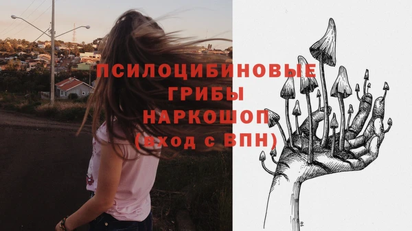 mix Верея